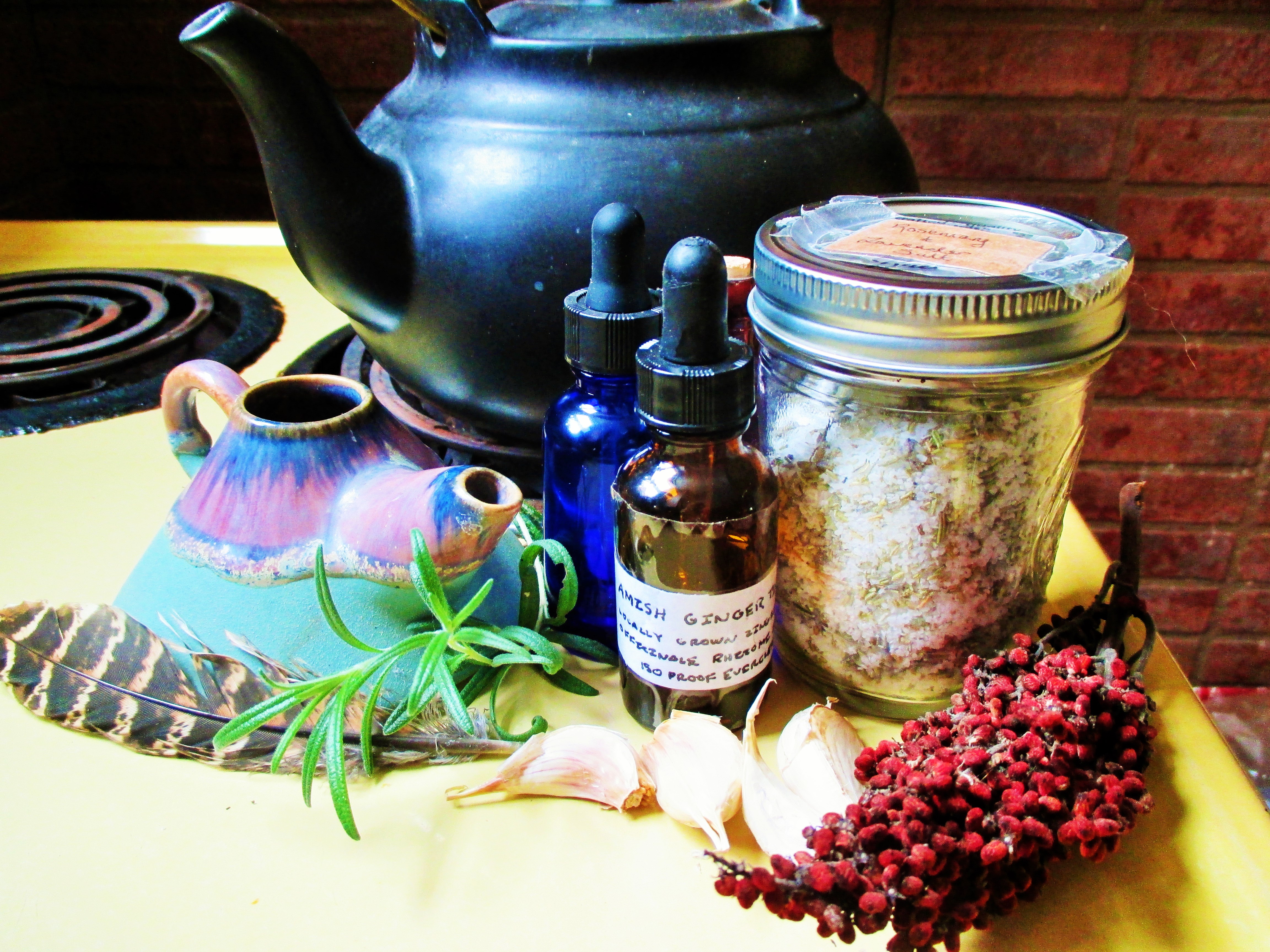 Herbal Neti Pot | Iowa Herbalist