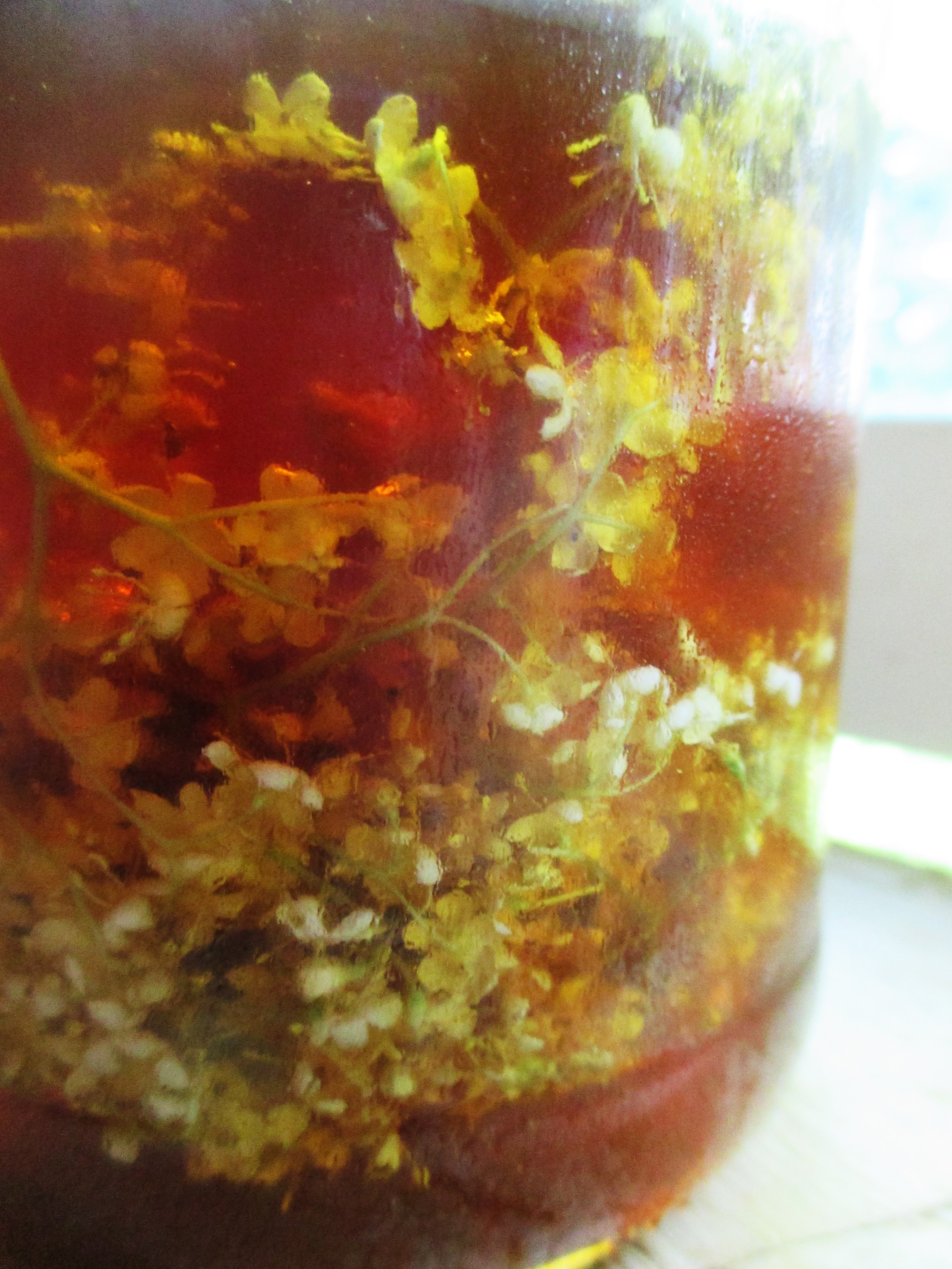Flowers in Honey | Iowa Herbalist